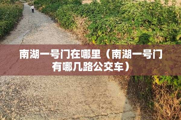 南湖一号门在哪里（南湖一号门有哪几路公交车）