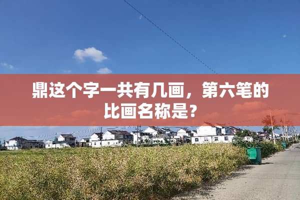 鼎这个字一共有几画，第六笔的比画名称是？