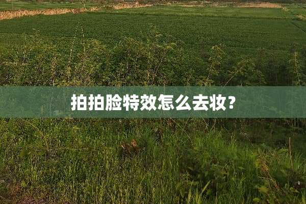 拍拍脸特效怎么去妆？