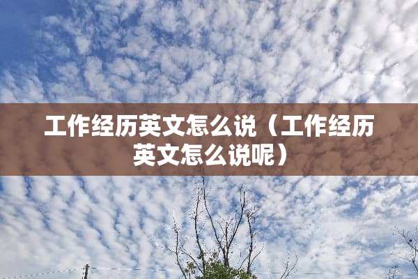 工作经历英文怎么说（工作经历英文怎么说呢）