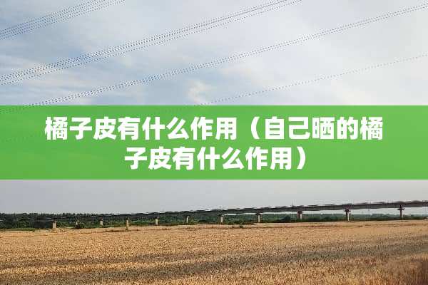 橘子皮有什么作用（自己晒的橘子皮有什么作用）