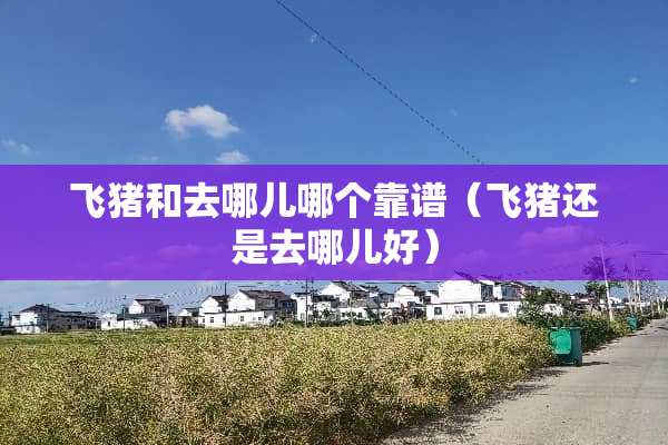 飞猪和去哪儿哪个靠谱（飞猪还是去哪儿好）