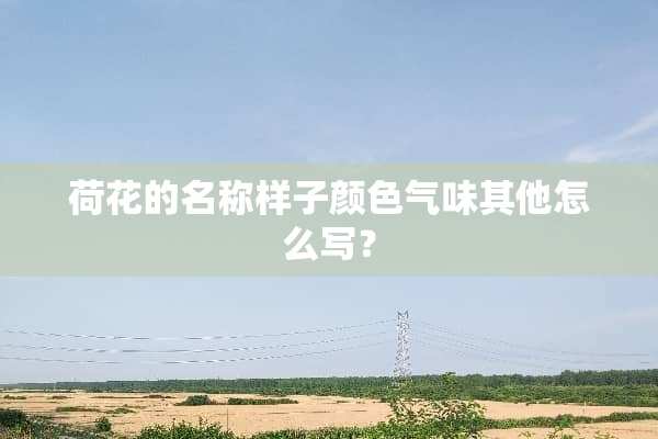 荷花的名称样子颜色气味其他怎么写？
