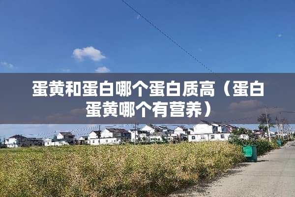蛋黄和蛋白哪个蛋白质高（蛋白蛋黄哪个有营养）
