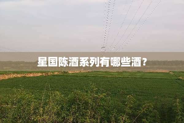 星国陈酒系列有哪些酒？
