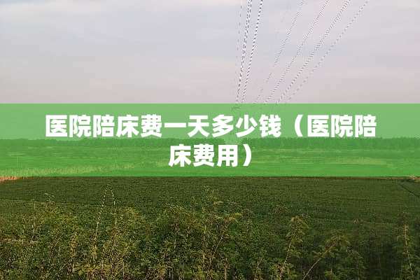 医院陪床费一天多少钱（医院陪床费用）