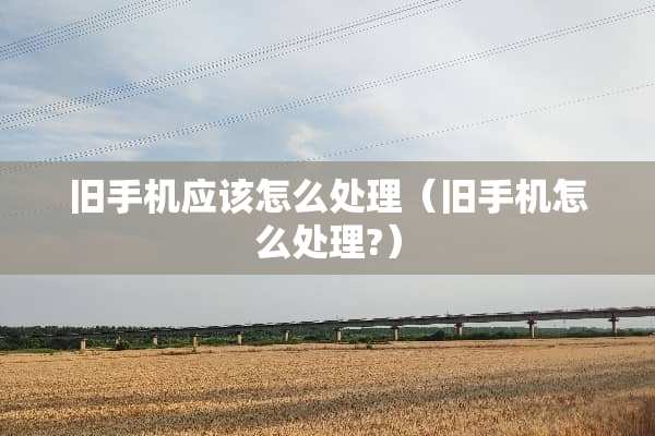 旧手机应该怎么处理（旧手机怎么处理?）