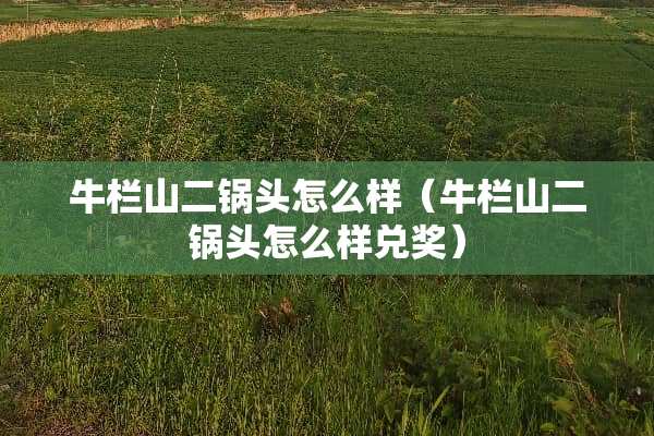牛栏山二锅头怎么样（牛栏山二锅头怎么样兑奖）