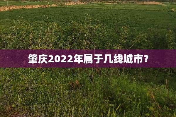 肇庆2022年属于几线城市？