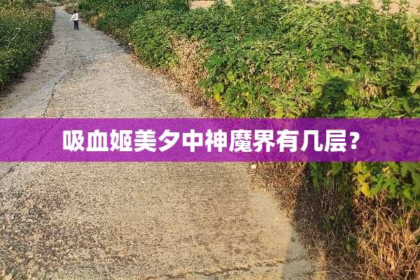 吸血姬美夕中神魔界有几层？