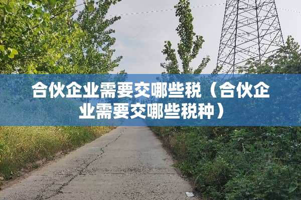 合伙企业需要交哪些税（合伙企业需要交哪些税种）
