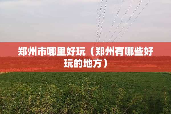 郑州市哪里好玩（郑州有哪些好玩的地方）