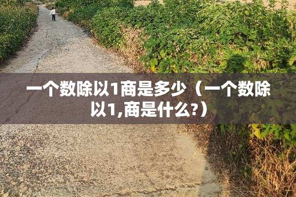 一个数除以1商是多少（一个数除以1,商是什么?）