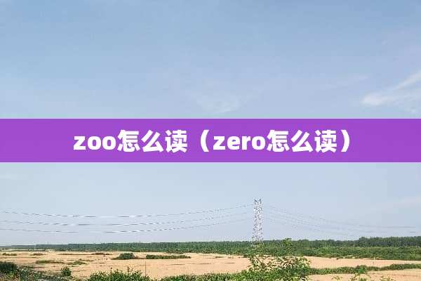 zoo怎么读（zero怎么读）