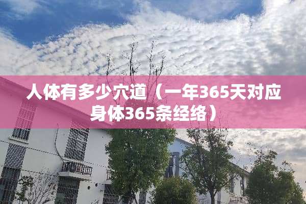 人体有多少*道（一年365天对应身体365条经络）