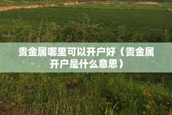贵金属哪里可以开户好（贵金属开户是什么意思）