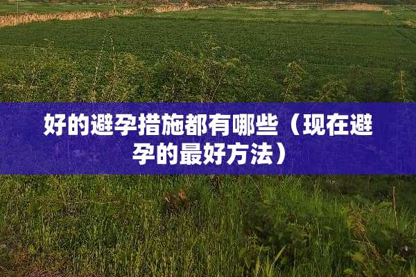 好的避孕措施都有哪些（现在避孕的最好方法）