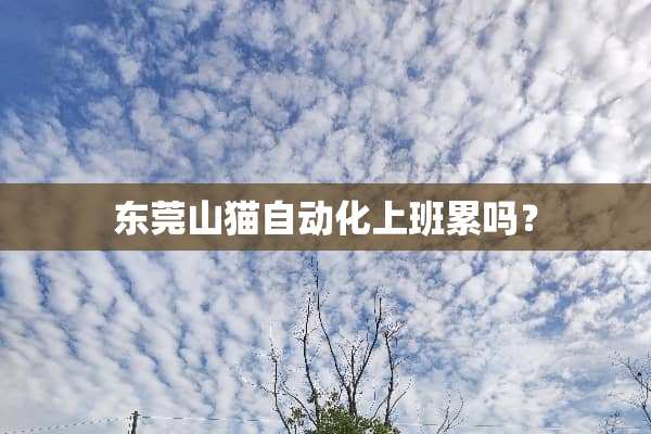 东莞山猫自动化上班累吗？