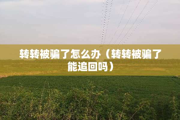 转转被骗了怎么办（转转被骗了能追回吗）