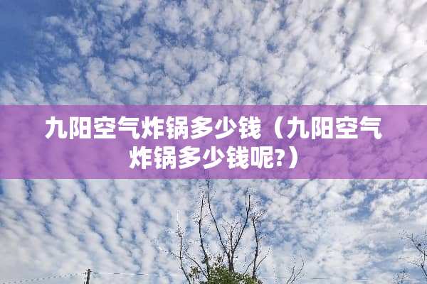 九阳空气炸锅多少钱（九阳空气炸锅多少钱呢?）