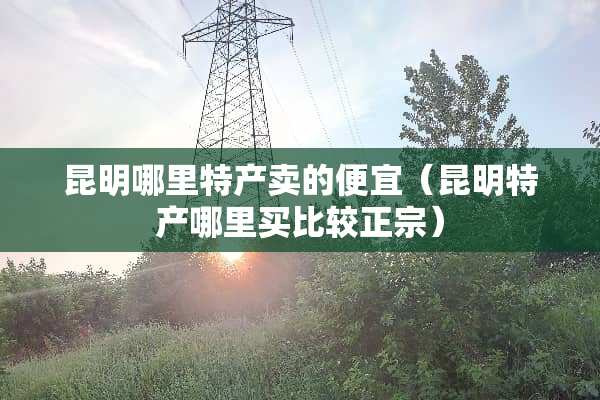 昆明哪里特产卖的便宜（昆明特产哪里买比较正宗）
