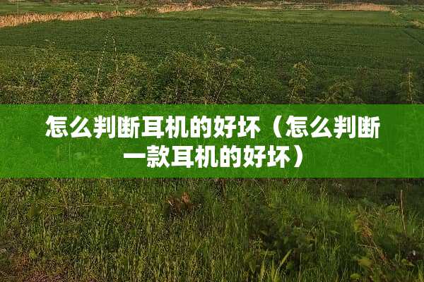 怎么判断耳机的好坏（怎么判断一款耳机的好坏）