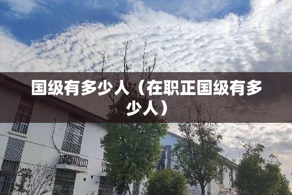 国级有多少人（在职正国级有多少人）