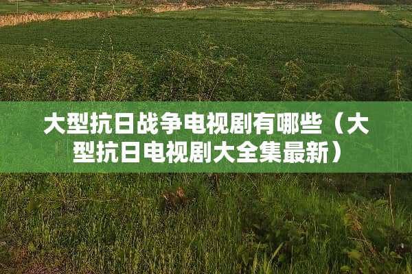 大型**战争电视剧有哪些（大型**电视剧大全集最新）