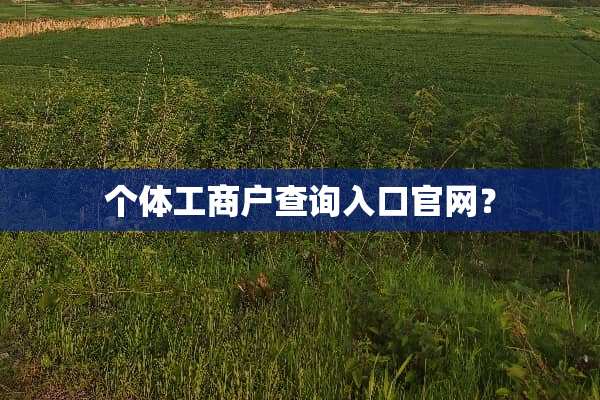 个体工商户查询入口官网？