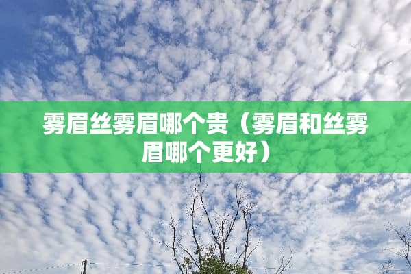 雾眉丝雾眉哪个贵（雾眉和丝雾眉哪个更好）