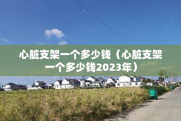 心脏支架一个多少钱（心脏支架一个多少钱2023年）