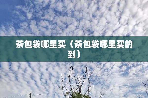 茶包袋哪里买（茶包袋哪里买的到）