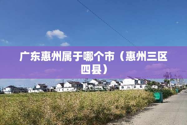 广东惠州属于哪个市（惠州三区四县）