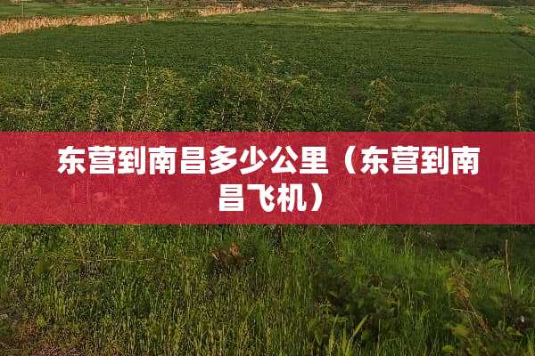 东营到南昌多少公里（东营到南昌飞机）