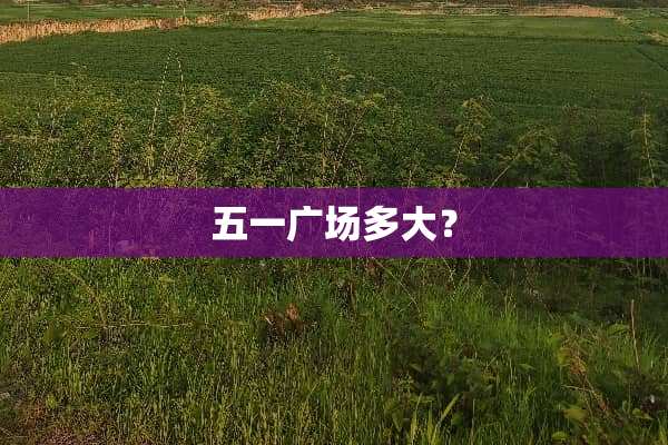 五一广场多大？