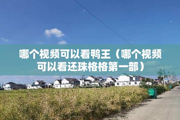 哪个视频可以看鸭王（哪个视频可以看还珠格格第一部）