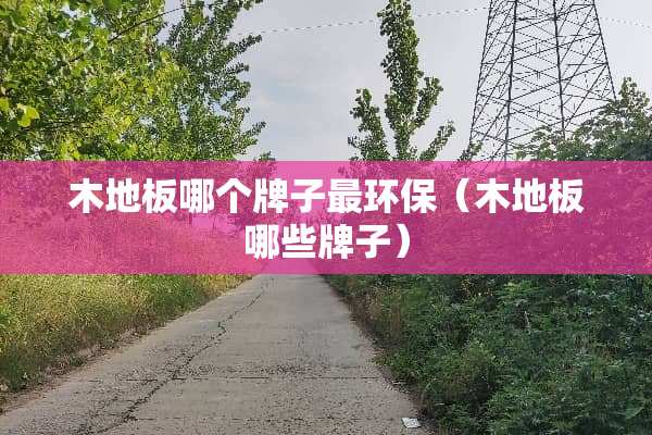 木地板哪个牌子最环保（木地板哪些牌子）