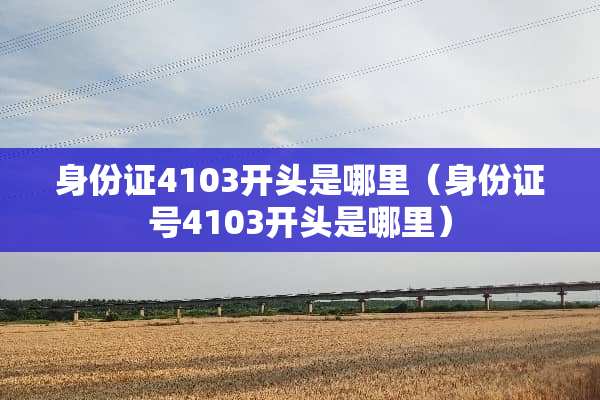 ***4103开头是哪里（***号4103开头是哪里）