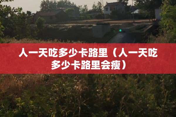 人一天吃多少卡路里（人一天吃多少卡路里会瘦）