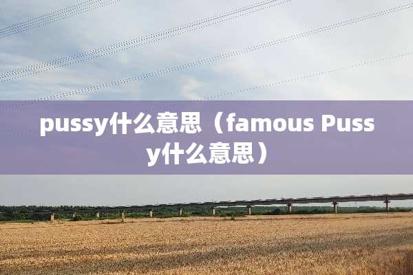pussy什么意思（famous Pussy什么意思）