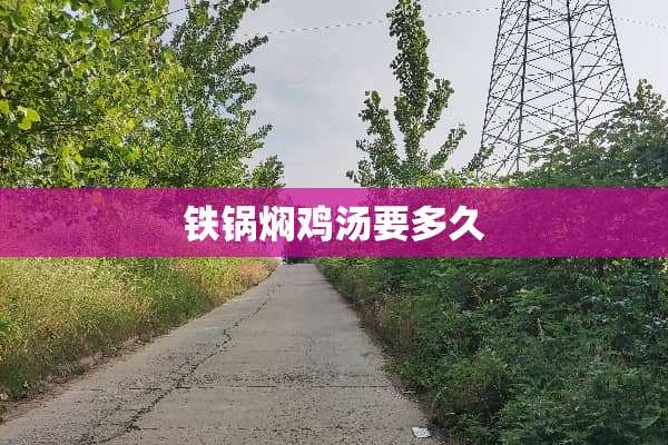 铁锅焖鸡汤要多久