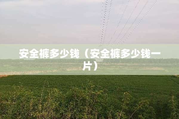 安全裤多少钱（安全裤多少钱一片）