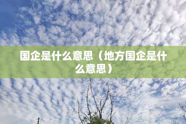 国企是什么意思（地方国企是什么意思）