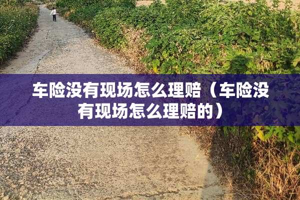 车险没有现场怎么理赔（车险没有现场怎么理赔的）