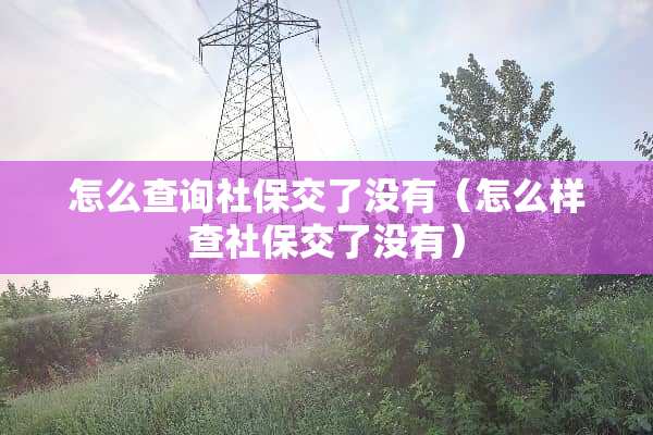 怎么查询社保交了没有（怎么样查社保交了没有）