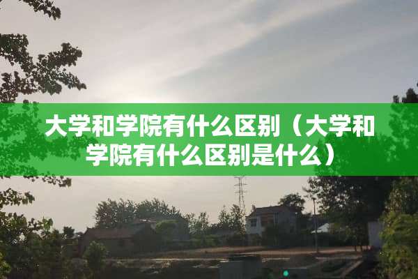 大学和学院有什么区别（大学和学院有什么区别是什么）