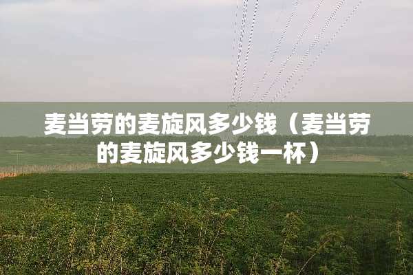 麦当劳的麦旋风多少钱（麦当劳的麦旋风多少钱一杯）