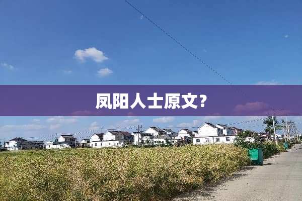 凤阳人士原文？