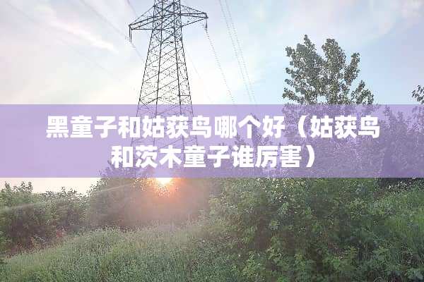 黑童子和姑获鸟哪个好（姑获鸟和茨木童子谁厉害）