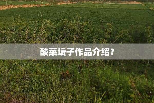 酸菜坛子作品介绍？